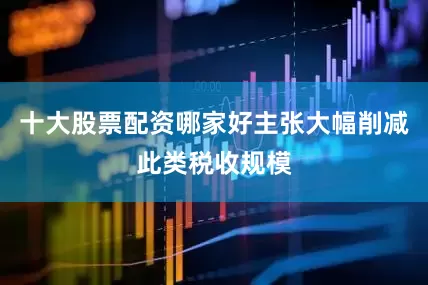 十大股票配资哪家好主张大幅削减此类税收规模