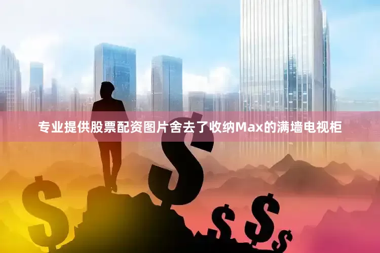 专业提供股票配资图片舍去了收纳Max的满墙电视柜