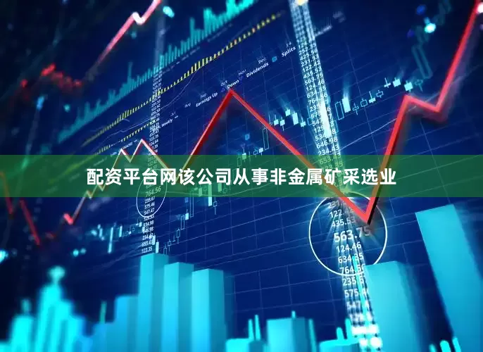 配资平台网该公司从事非金属矿采选业