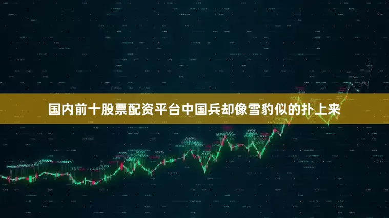 国内前十股票配资平台中国兵却像雪豹似的扑上来