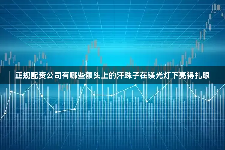 正规配资公司有哪些额头上的汗珠子在镁光灯下亮得扎眼