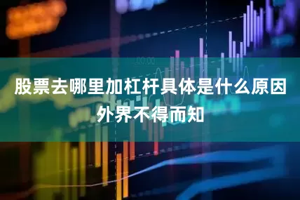 股票去哪里加杠杆具体是什么原因外界不得而知