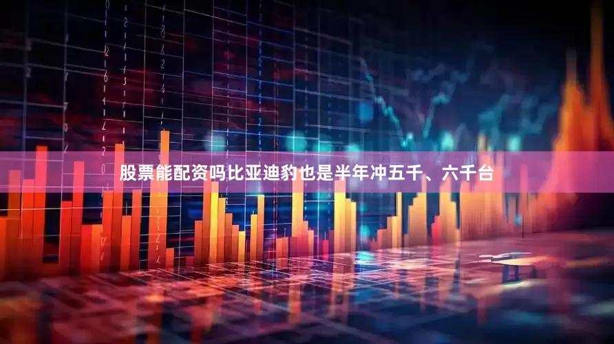 股票能配资吗比亚迪豹也是半年冲五千、六千台