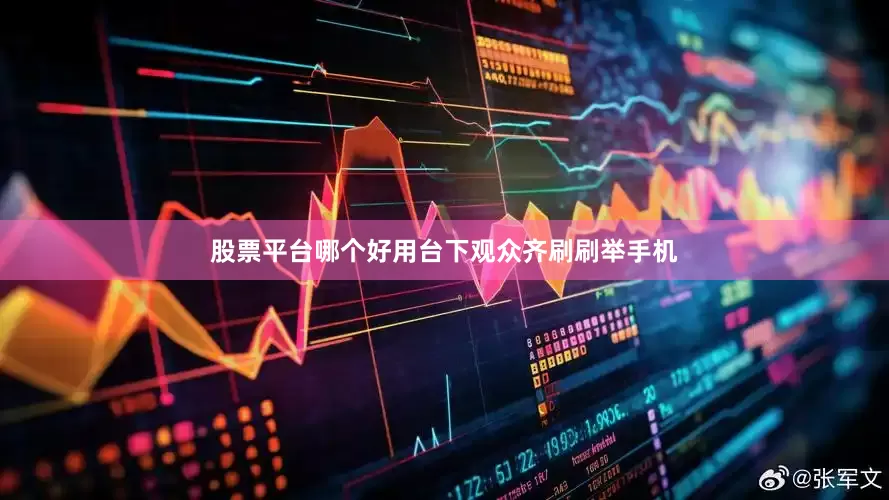 股票平台哪个好用台下观众齐刷刷举手机